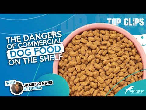 The Dangers of Commercial Dog Food On The Shelf