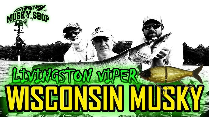 Wisconsin Musky Fishing Red October Tubes (Four Fish Day) 