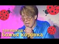 Божья коровка - Теплоход