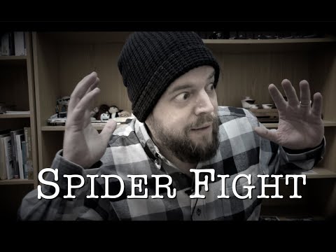Story: Spider Fight
