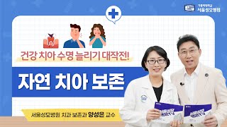 건강 치아 수명 늘리기 대작전! 자연 치아 보존 | 서울성모병원 양성은 교수