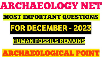 Archaeology Net | Most Important Questions on Human Fossils|By Sohan Gupta|Archaeological Point