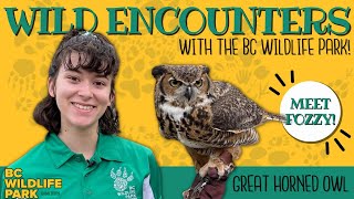 Meet Fozzy the Great Horned Owl! (Wild Encounters with the BC Wildlife Park: Season 2, Episode 1)