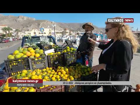 10-11-2022 «Καλύμνικα μανταρίνια και γλυκοπορτόκαλα»