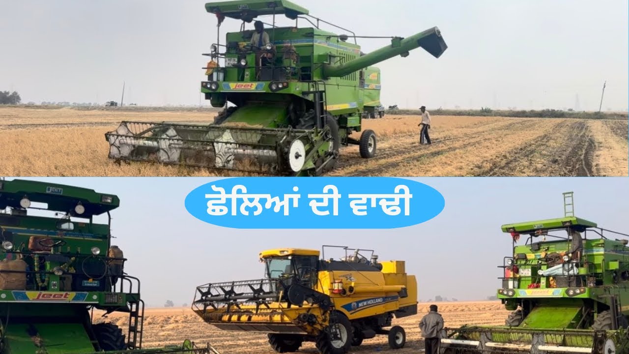 #combine/Foggy atmosphere in the early morning during the chickpea season