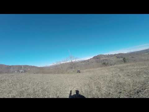 ვენახი ოჯალეში. სამეგრელო ზუგდიდის რ-ნ სოფ. ჯიხაშკარი