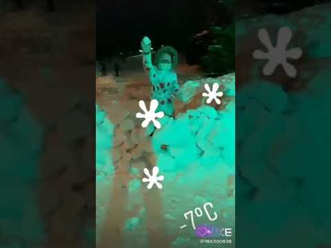 Я Вики шоу