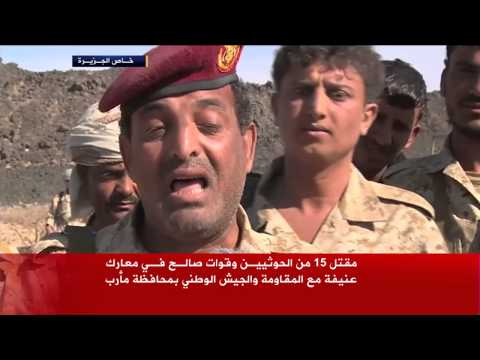 قتلى لمليشيا الحوثي وقوات صالح في مأرب