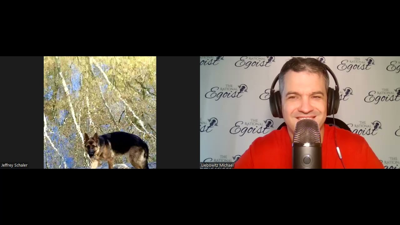 Рациональный эгоист: миф о психическом заболевании и терапевтическом государстве (автор Джеффри Ш...