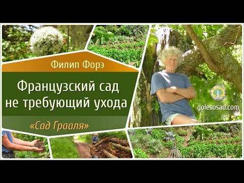 ФРАНЦУЗСКИЙ САД НЕ