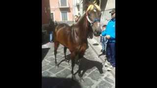 Alessio Valenti A Zicca Lunicu Re