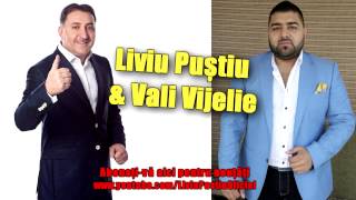 Liviu Pustiu & Vali Vijelie - Sunt petrecaret ca tata  | Official Audio