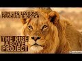 Lion Life Lessions: Makhulu & Notch | The Rise Above Project