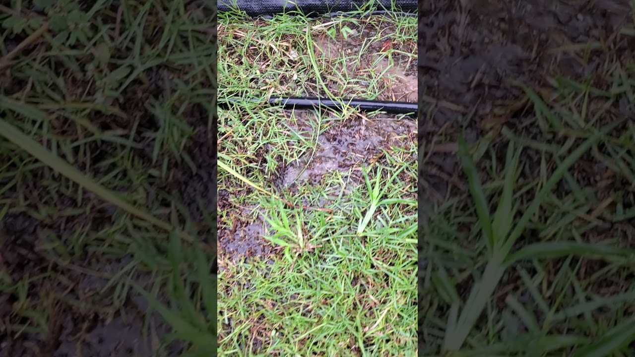 Water runoff onto my property 2