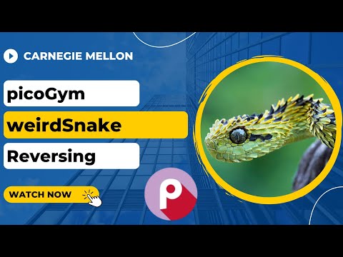 picoGym (picoCTF) Exercise: weirdSnake