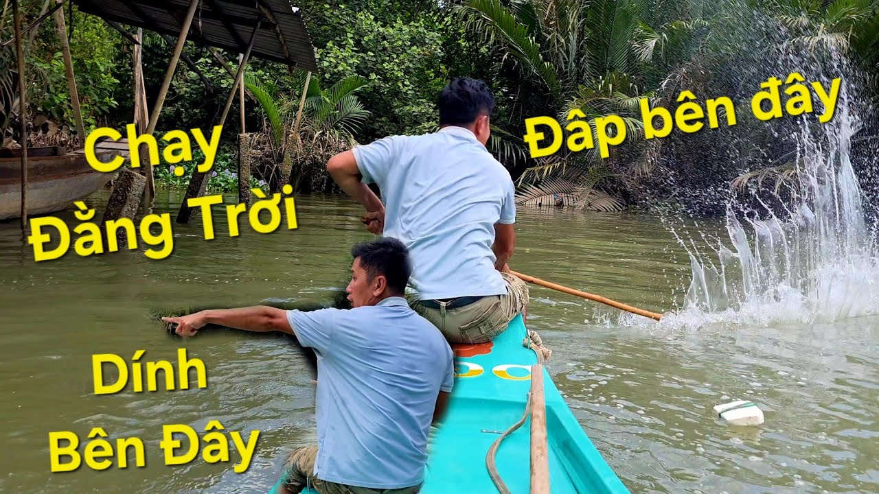 Đưa con đi học phát hiện bầy cá, đem lưới ra bao dính đủ loại cá ngon | Săn bắt SÓC TRĂNG |