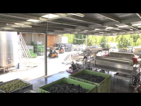 Mt. Difficulty: End of 2013 Vintage - video from Mt Difficulty Wines