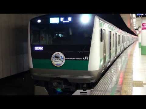 初の埼京線E２３３系