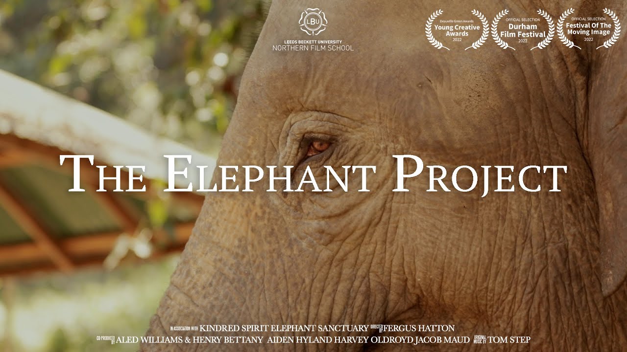 The Elephant Project