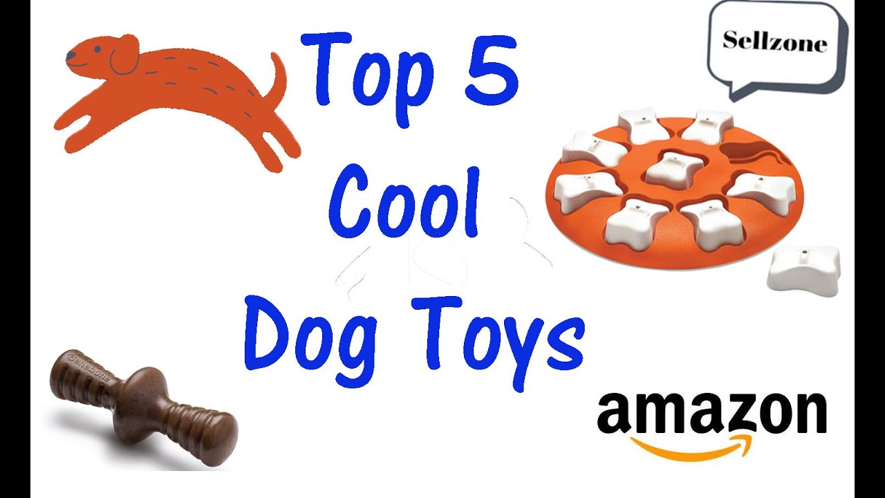 Top 5 Cool Dog Toys!