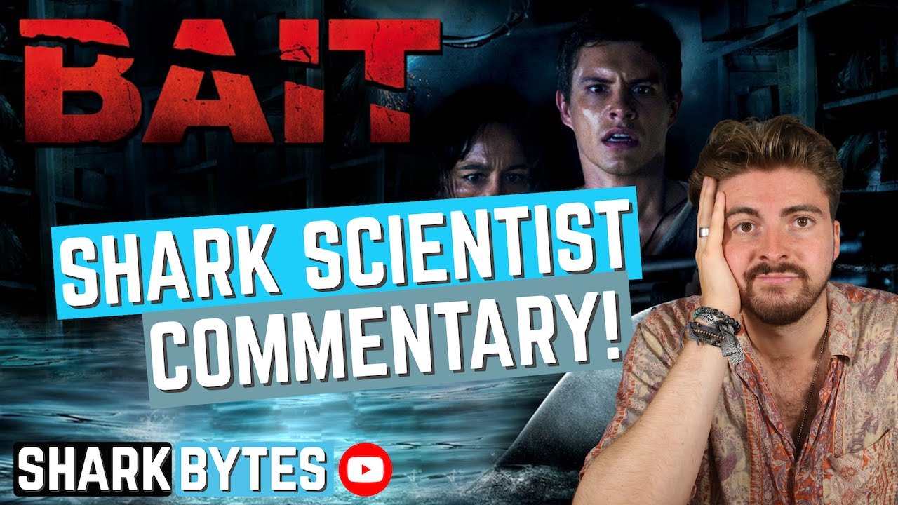 Watch 'BAIT' with a Shark Scientist! (Movie Commentary & reaction)