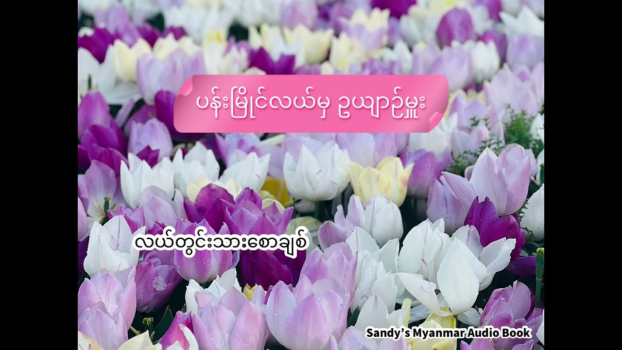 ပန်းမြိုင်လယ်မှဥယျာဉ်မှူး (လယ်တွင်းသားစောချစ်) (စ-ဆုံး)
