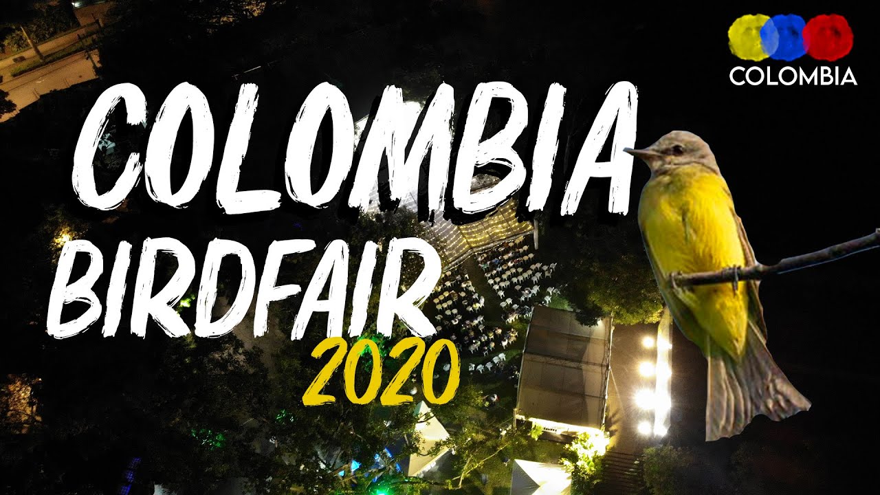 Colombia Bird Fair 2020, ALL about Migratory Birds in Colombia - Bird Watching Colombia