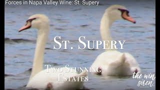 Napa Valley Wineries: St. Supery with Winemaker Michael Scholz