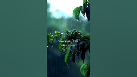 خواتيم سورة البقرة بصوت الشيخ سعود بن إبراهيم آل شريم