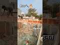 contraction work #construction #trending #viral #home #best #building