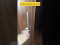 الماری توڑ کے گھر پہنچا دی 