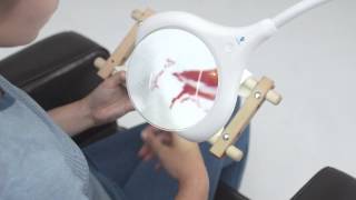 Découvrez la nouvelle Lampe Loupe Magnfcent Pro Daylght / Ref E25090 | Magnfer, Drver job