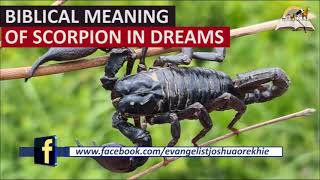 Biblical Meaning of SCORPIONS in a Dream - Dream About Scorpions