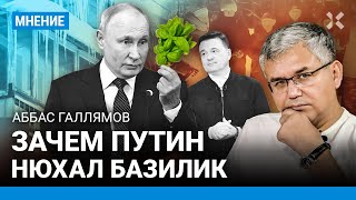 ГАЛЛЯМОВ: Путин на Чукотке — почему не в Подольске? Зачем он нюхал базилик. Черт из табакерки