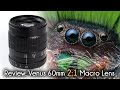 A Quick Review of the VENUS V-DX 60mm f/2.8 2:1 Ultra-Macro Lens