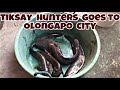 Dalag sa Olongapo City nilusob ng mga Hunters