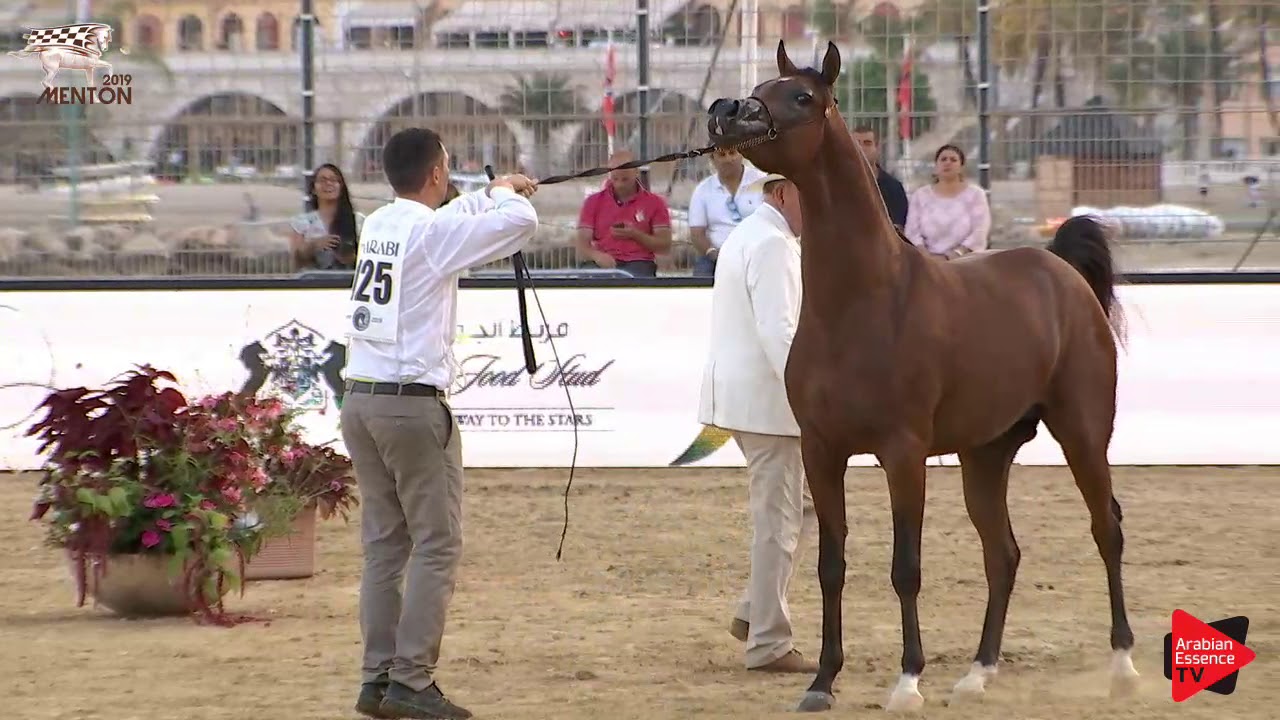 N.125 D JARI - Menton 2019