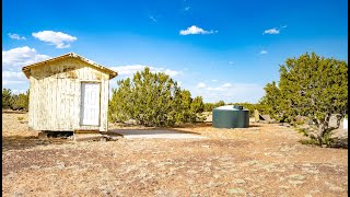 40 ACRES WITH CIRCLE DRIVEWAY & SEPTIC, BORDERING 1280 ACRES OF STATE LAND