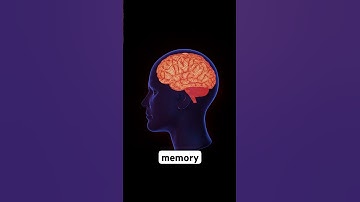 What if you could upload your brain? 🧠✨