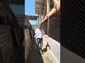 КАРА БАЛТА ҮЙ САТЫЛАТ 8 СОТОК ЖЕРИ МЕНЕН БИШКЕК 2026