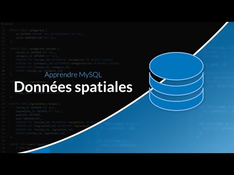 Vidéo: Quel est le type de données spatiales dans MySQL ?