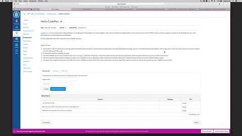 How to submit a Website URL to a Canvas assignment