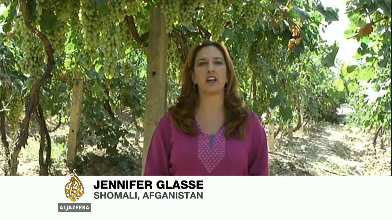 عنب بدلاً من الألغام الأرضية