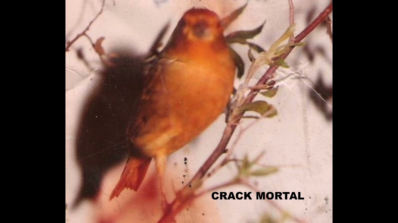 CD canto Jilguero CRACK MORTAL