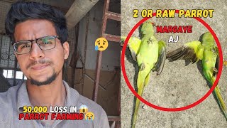 2 Raw Parrots or Mar Gaye😱😭 | Big Loss 💔 | 50,000 Loss in Parrot Farming in 1 Month at Home 🏠