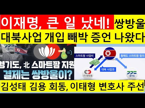 고영신Tv, 유튜브 영향력 리포트