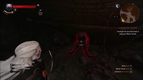 The Witcher 3 Wild Hunt (PS4) - Count Reuven