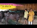 डेयरी फार्मिंग के एक्सपर्ट और पुराने अनुभवी से पूछे लाइव सवाल |Dairy farming in india