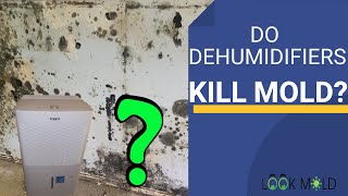 Do Dehumidifiers Kill Mold??
