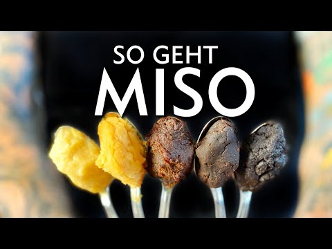 Kochen mit Miso - Der ultimative Miso Guide für Anfänger (3 schnelle Rezepte)